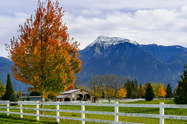 split rail white fence fall foliage mountains barn