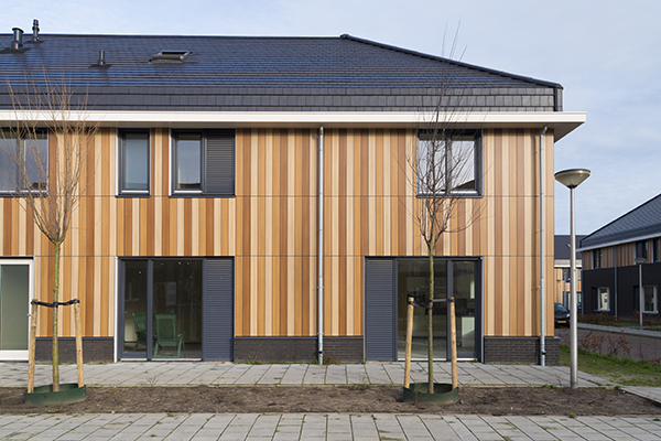 modern residential multi-family new trees stone pathway