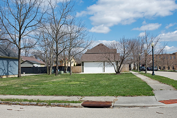 empty lot sidewalks green grass leafless trees